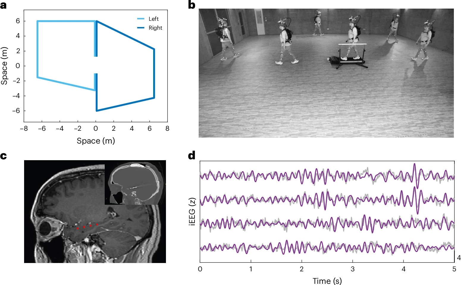 Figure1_original